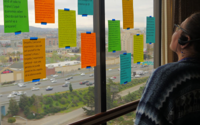 Survivor-Centered Advocacy in Culturally Specific Communities: A Community-Based Participatory Research Project, 2019